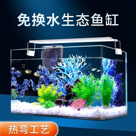 澳門金魚缸2023